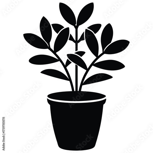 flat vector of a home plant in a pot  minimal sty