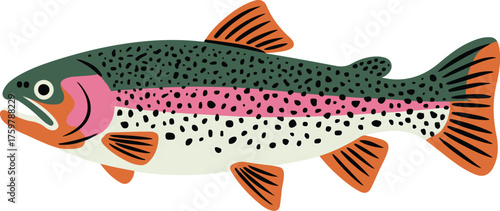 Beautiful Rainbow Trout Illustration with Vibrant Colors and Unique Design Elements