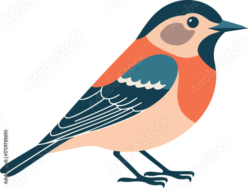 Stylized illustration of a cute colorful bird on a white background