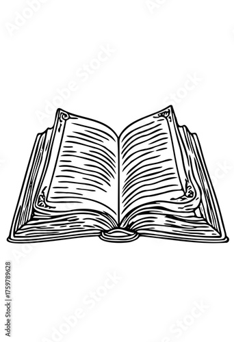 open book isolated on white vector