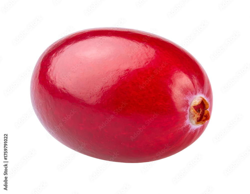 Obraz premium Close-up of a vibrant, glossy, deep-red fruit with a textured stem and background
