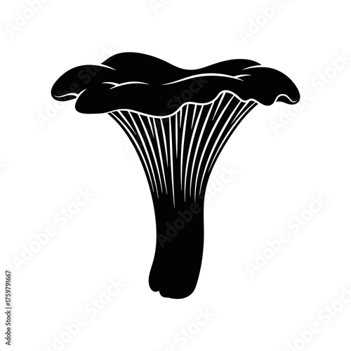 Black silhouette of a chanterelle mushroom