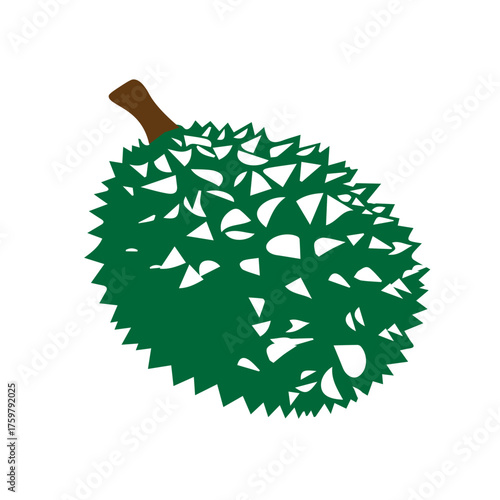 Spiky Durian Fruit Illustration