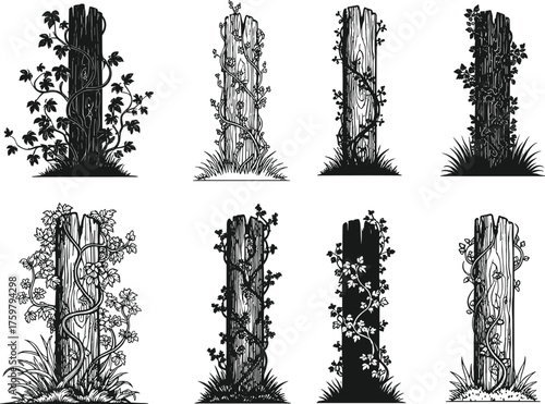 Tree Stumps with Climbing Vines – Botanical Silhouette Set, Nature Interaction, Ivy Growth, Rustic Wood Texture Vector for Eco Design