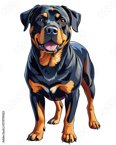 rotweiler dog,full body , real print Style, white background	