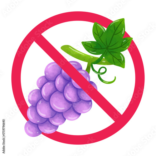 No grapes sign, dont eat grapes, negative effects of eating grapes, disadvantages of grapes, vector illustration
