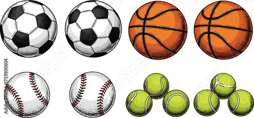 Assorted Sports Balls Collection: Soccer, Basketball, Baseball, and Tennis Balls in Graphic Style – Team Sports, Active Lifestyle, Recreation, Exercise, Competition, Healthy Activities, Athletic Event