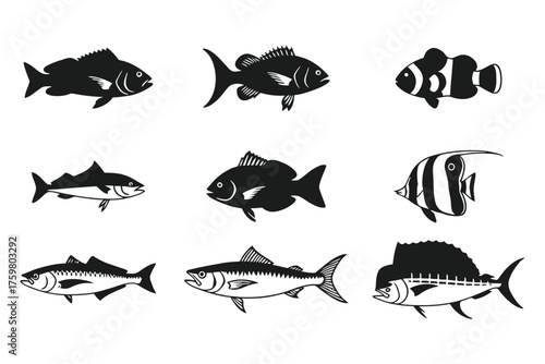 Diverse Collection of Marine Fish Species Black Silhouette Illustrations
