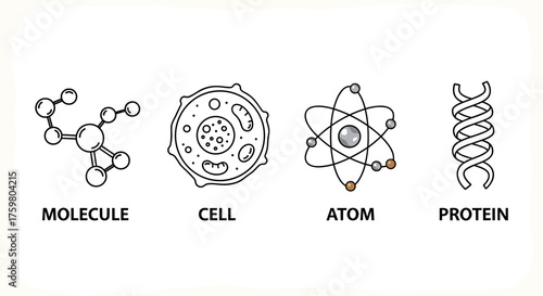Molecular Biology Basics: Illustrating Molecules, Cells, Atoms, and Proteins for Scientific Education, Research & Healthcare Presentations. Chemical Structures in Modern Science and Biotech Fields Dep