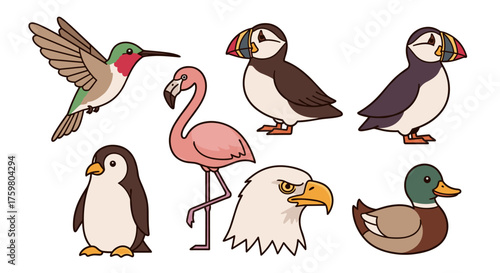 Diverse Bird Species Illustration Set: Cartoon Avian Collection for Educational Resources, Wildlife Conservation Designs, Children's Books, Zoological Studies, Colorful Graphic Elements, Ornithology P