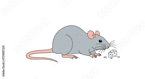 A common laboratory mouse is depicted on a white background.