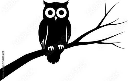 Silhouette of a wise owl perched on a bare tree branch