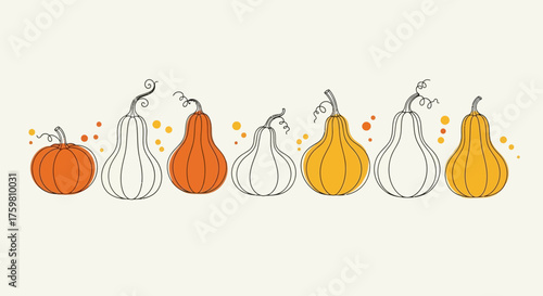 Autumn Harvest - A Row of Colorful Pumpkins and Gourds.