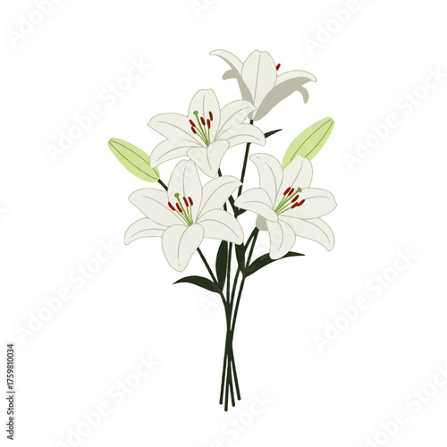 Elegant White Lily Bouquet on White Background.