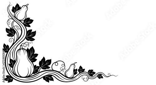 Elegant Black and White Gourd and Vine Corner Border Design.