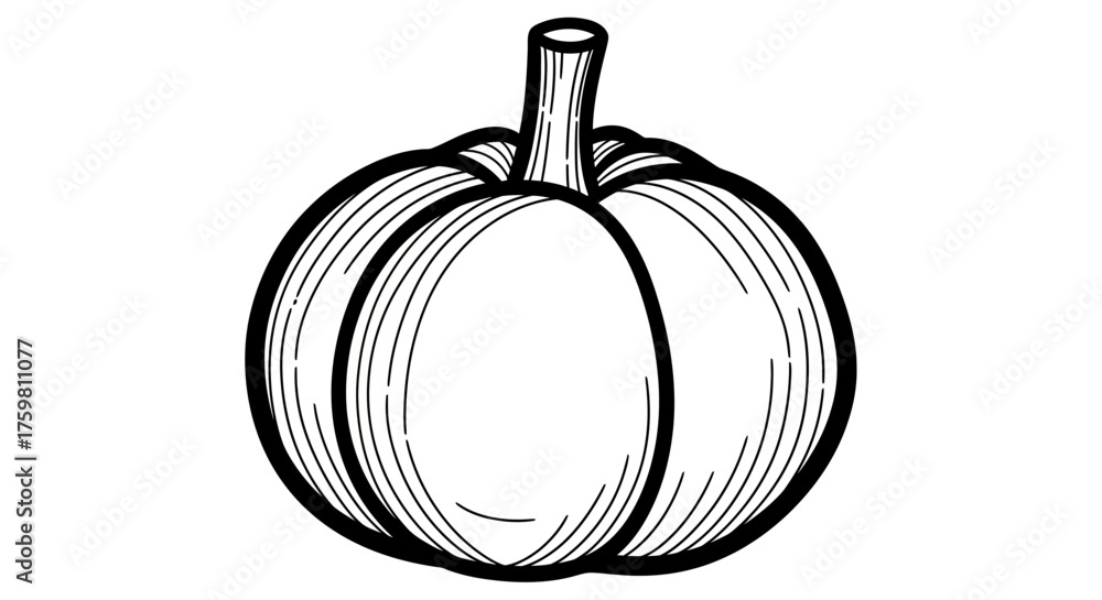 Obraz premium Hand drawn black and white illustration of a pumpkin.
