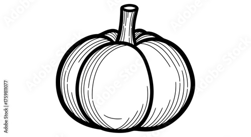 Hand drawn black and white illustration of a pumpkin.