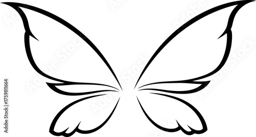 Elegant outline of delicate butterfly wings on a white background