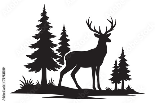 deer in the forest