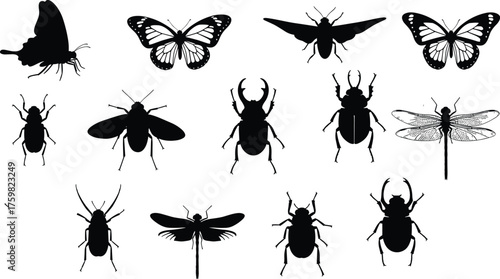 Insect silhouettes collection, butterflies beetles dragonflies flies winged bugs entomology icons, nature biodiversity study elements, cad drawing flat vector illustration