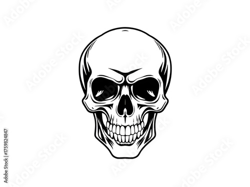 Human skull shape, Skeleton head silhouette, Skull art, Skull design, Skull illustration, Skull graphic, Horror skull icon, Scary skull vector, Gothic skull silhouette, Halloween skull art, Death symb