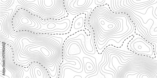 Seamless Light topographic topo contour map background, vector illustration .White wave paper curved reliefs abstract background. Vector illustration.. Design illustration for wall art, fabric.