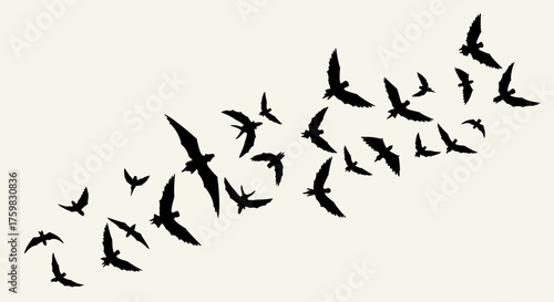 Silhouettes of a flock of birds flying in formation.