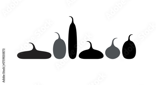 Silhouettes of various gourds and squashes in a minimalist style.