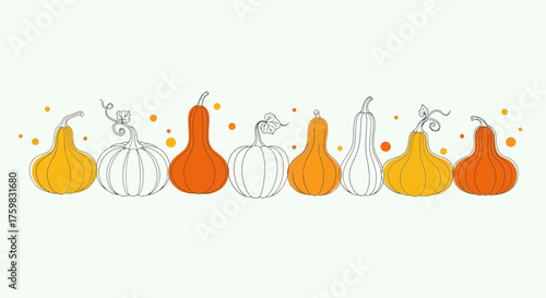 Vibrant and Diverse Autumn Gourd Collection in a Row.