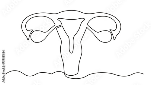 Human uterus continuous one line drawing minimalist medical concept. Single line art female reproductive system uterus isolated on white background vector illustration
