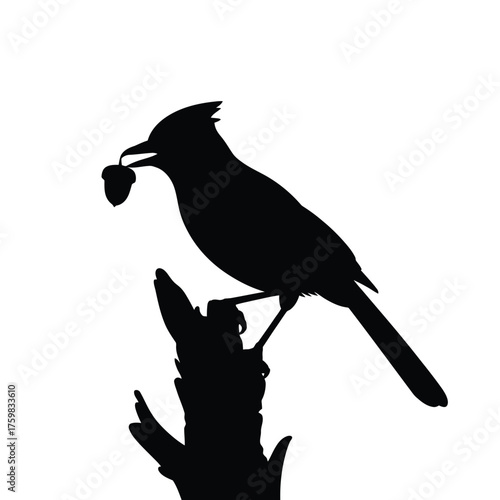 Silhouette of a bird holding a nut perched on a branch
