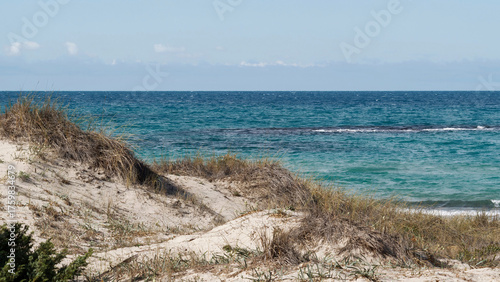 Coastal landscape with sand dunes and sea view on a sunny day, natural vegetation in the foreground and turquoise blue water under a clear sky.