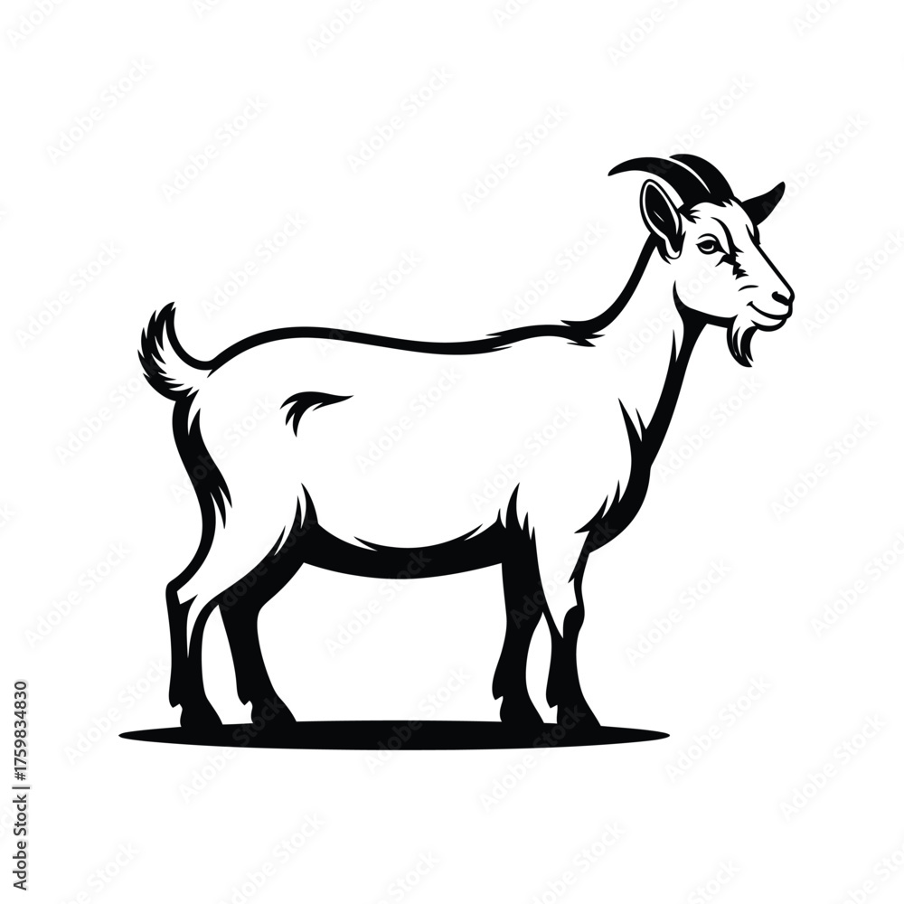 Obraz premium Black and white illustration of a standing goat in profile