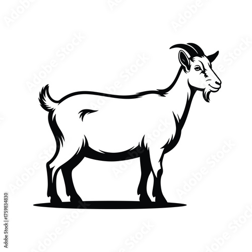 Black and white illustration of a standing goat in profile