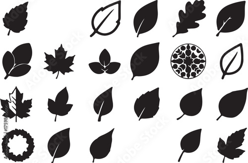 24 fallen leaves silhouette vector bundle autumn black clipart
