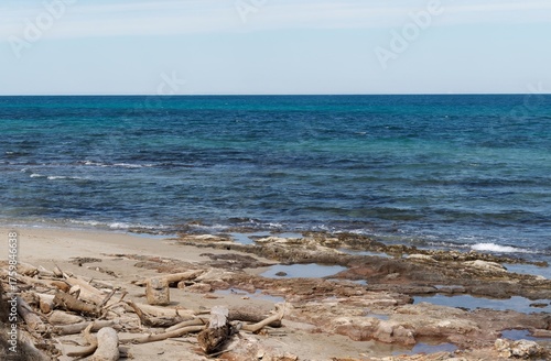 Driftwood and rocks on a sandy beach by the blue sea under a clear sky