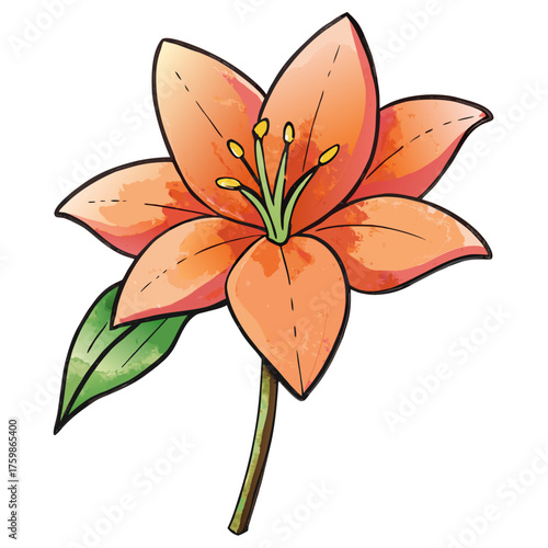 Military Boot with Remembrance Poppy Flower - Symbol of War, Peace, Veterans