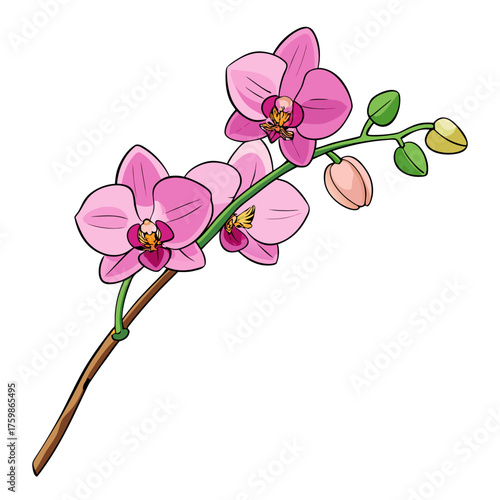 Military Boot with Remembrance Poppy Flower - Symbol of War, Peace, Veterans