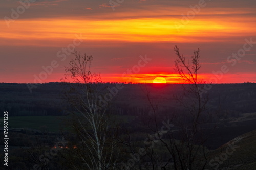 Landscape of bare trees at sunset, early spring