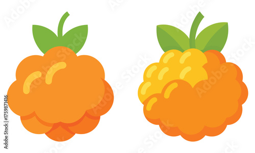 Cloudberry Vector Icon Set - Modern Flat Design Fruit Illustration