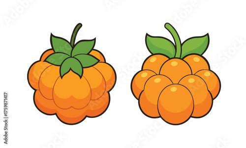 Cloudberry Vector Illustration Set - Cartoon Golden Raspberry Icons