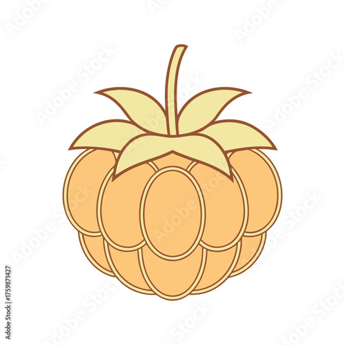Golden Cloudberry Vector Illustration - Simple Fruit Icon