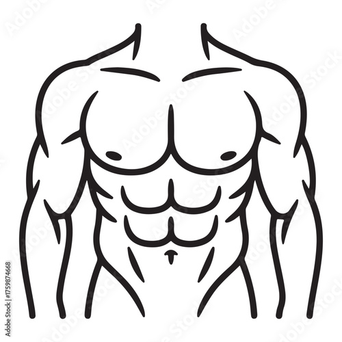Muscular male torso six pack abs outline silhouette