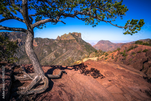 hiking in the beautiful nature of big bend national park in texas in the usa
