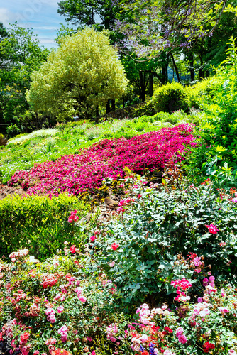 Wallpaper Mural Lavender Garden in Gramado, specialized to cultivate lavenders plants. Gramado is a hot spot tourist, and one of the cities along the scenic route known as Romantic Route. RS, Brazil, 2022 Torontodigital.ca