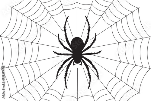 Silhouette of a Spider on a Web Creative Halloween Concept Illustration Black and White Vector Isolated Design Element
