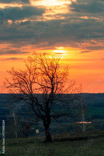 Landscape of bare trees at sunset, early spring