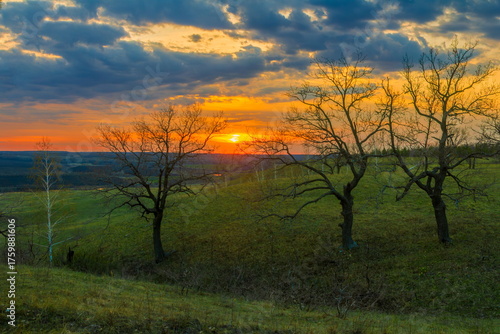 Landscape of bare trees at sunset, early spring