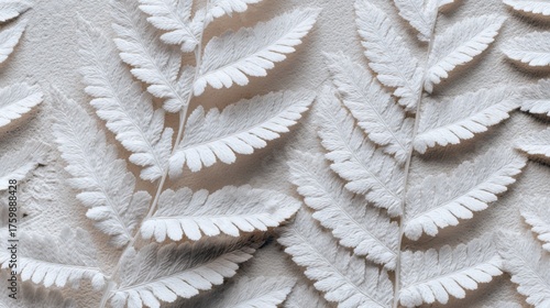 Wallpaper Mural Abstract Top View of Clean White Fern Leaves with Natural Texture for Minimalist Design and Aesthetic Appeal Torontodigital.ca