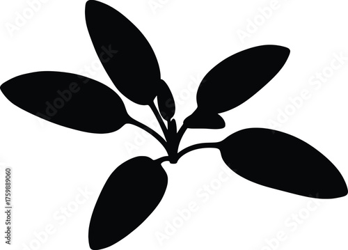 High-resolution black silhouette vector illustration of a simple leafy plant with broad oval leaves on a central stem, isolated on a white background. This minimalist graphic icon represents nature